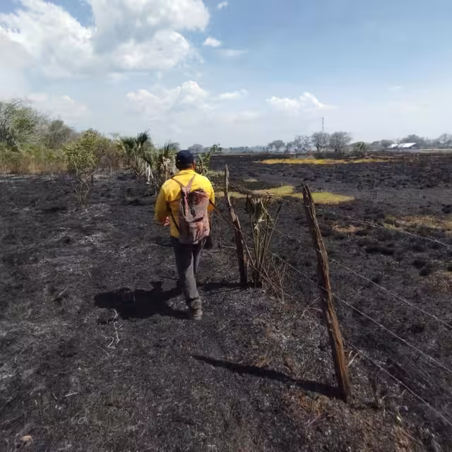 Campeche entra en etapa crítica de incendios forestales con 32 siniestros acumulados