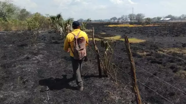 Campeche entra en etapa crítica de incendios forestales con 32 siniestros acumulados