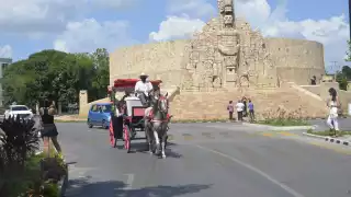 Calesero que maltrató a un caballo en Mérida, en la mira; analizan su posible sanción 