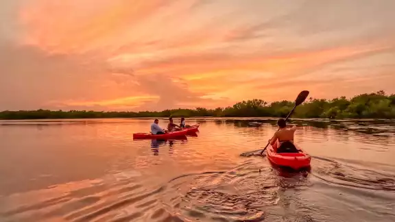 La UMA San Manuel se ubica en el oriente del estado de Yucatán La UMA San Manuel se ubica en el oriente del estado de Yucatán