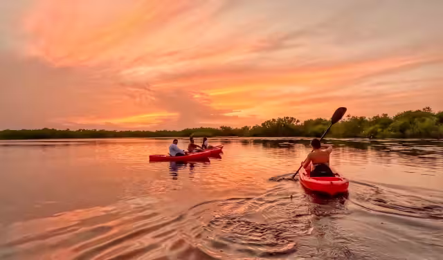 La UMA San Manuel se ubica en el oriente del estado de Yucatán