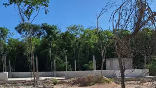 Con una inversión de 10 MDP se concluirá el Centro de Acopio de Productos Agrícolas en José María Morelos