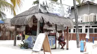 Tiburón ballena en el olvido: Isla Mujeres vive su peor temporada de avistamientos