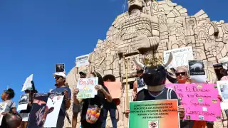 Colectivos por la fauna revelan que en enero pasado se abrieron 628 carpetas de investigación