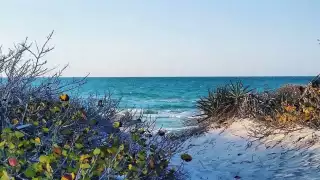 Cancunito es una de las playas menos populares de Yucatán
