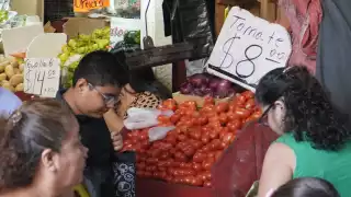 Cae producción de jitomate en Campeche durante 2025