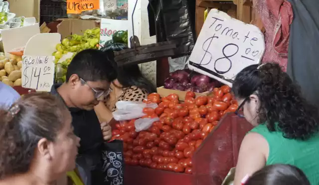 La reducción se atribuye a la menor superficie sembrada