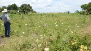 Gobierno respalda a pequeños y medianos productores para superar producción récord en 2024