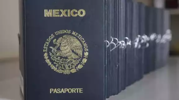 Siete personas fueron víctimas de estafa durante el mes de junio al tramitar en línea este documento Siete personas fueron víctimas de estafa durante el mes de junio al tramitar en línea este documento