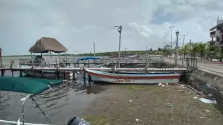 “Los estamos matando con nuestras acciones”: Biólogo de Yucatán llama a  intensificar el cuidado de los mares