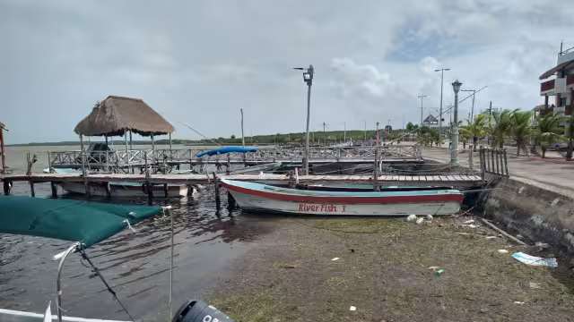 Basura, plásticos y residuos de pesca, los enemigos que ponen en riesgo la vida acuática