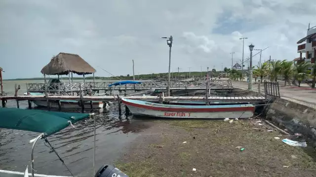 Basura, plásticos y residuos de pesca, los enemigos que ponen en riesgo la vida acuática