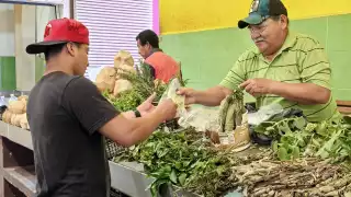 La sequía amenaza el legado de las plantas medicinales en Ciudad del Carmen