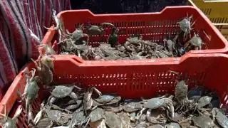 Los pescadores estamos en espera de lo que llamamos creciente, que se provoca cuando llueve mucho