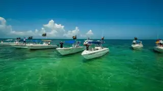 Buscan la reducción de lanchas por la baja demanda del tiburón ballena en Isla Mujeres