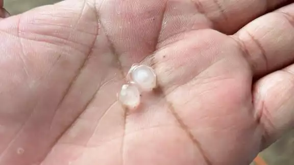 En Valladolid las lluvias estuvieron acompañadas de caída de granizo En Valladolid las lluvias estuvieron acompañadas de caída de granizo