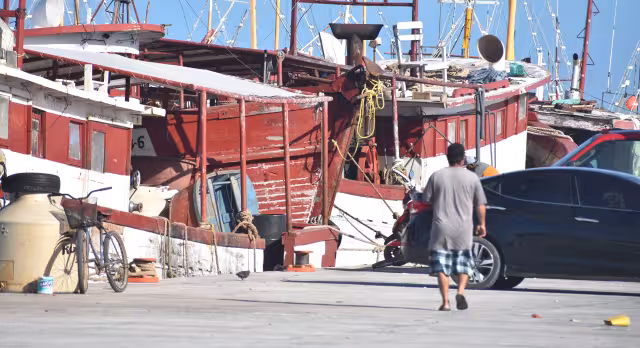 A partir de mañana se abre la temporada de captura del mero y se espera lograr buenos precios