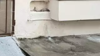 ¡Ni el agua se salva! Roban medidores en Puesta del Sol