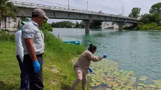 Programas de monitoreo buscan garantizar agua sustentable