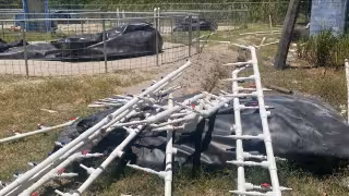 36 tinas pendientes mantienen crisis en Península de Atasta