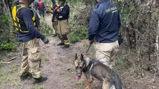 Unidad Canina K9 de la Fiscalía General del Estado de Michoacán.