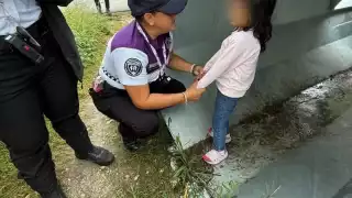 Trabajadores al ver que la niña cruzaba la avenida e ingresó a un poste de luz para no mojarse, llamaron a las autoridades