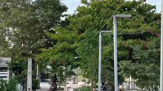 Parque lineal de Hopelchén bajo amenaza por omisión de la CFE