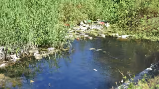 Pescadores de Champotón denuncian contaminación por actividad petrolera