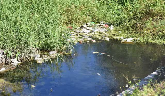 Redes con lodo y olor a amoníaco alertan a pescadores