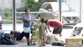 Muchos de estos provienen de estados como Chiapas; se afincan en el Caribe Mexicano por unos meses y vuelven a su tierra.