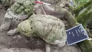 Casi 3,000 años de antigüedad tienen los vestigios encontrados.