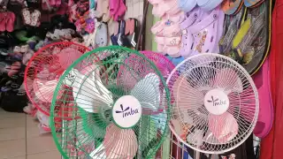 Los precios van de 400 a 700 pesos, y los clientes prefieren los ventiladores de metal por su menor ruido