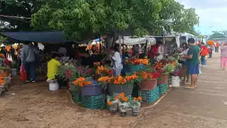 Desde muy temprano comerciantes se colocaron