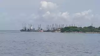 Incertidumbre previa al inicio de la temporada de captura de camarón