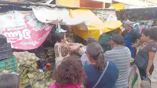 Gran afluencia de campechanos