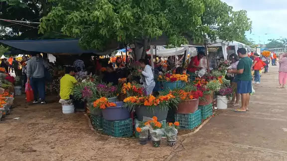 Desde muy temprano comerciantes se colocaron