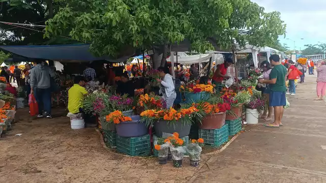 Desde muy temprano comerciantes se colocaron
