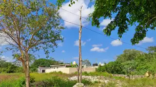 Habitantes de Isla Mujeres improvisan postes de luz para ahuyentar a la delincuencia