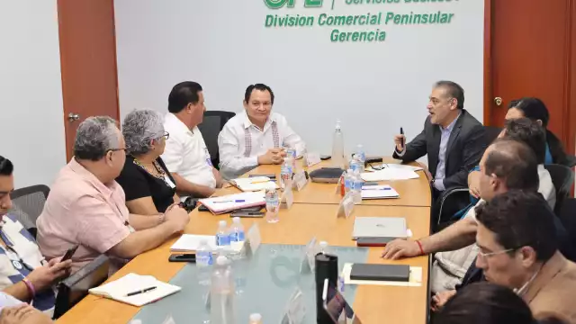 Joaquín Díaz Mena recalcó que la operación de la mesa de atención, asesoría y seguimiento representará un importante ahorro