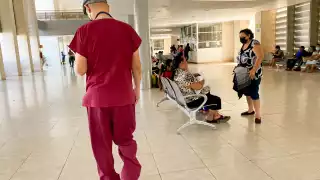 La fiebre de Oropouche no se encuentra en México, pero se mantienen en alerta