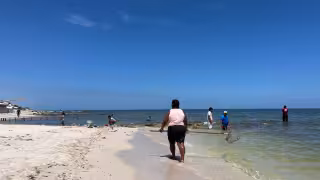 Las autoridades correspondientes recomiendan no nadar en algunas zonas ni consumir especies varadas