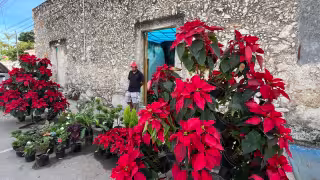 Los comerciantes lo acreditan a que no subieron los precios