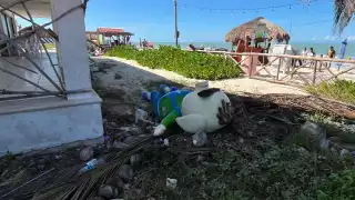 La Pig Beach presenta graves daños tras el paso del Huracán Milton