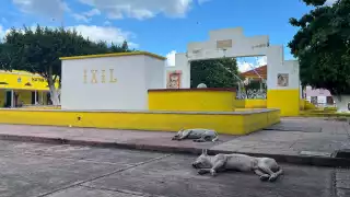   Envenenamiento de perros y gatos en Ixil, refleja una cruel realidad   