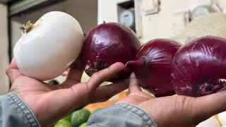 Sube la cebolla y otros productos en el mercado de Champotón