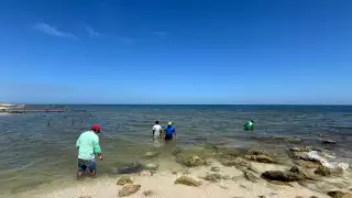 Ambas zonas tendrán una vigencia de cinco años