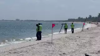 La conservación de manglares no es un lujo ambientalista, garantiza salud y estabilidad económica