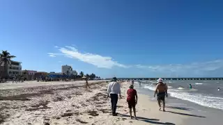 Prepara el ahorro: Playas caras en Yucatán para visitar este 2025 