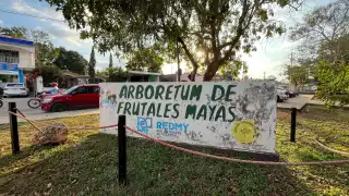 Mérida: Arboretum, el lugar con árboles frutales mayas poco valorado  
