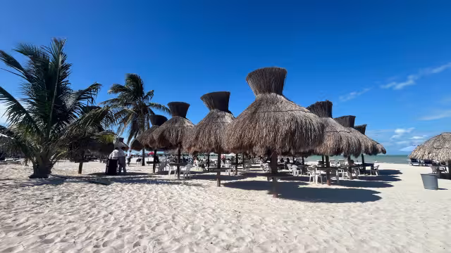 Palaperos prevén mayor afluencia de personas en Navidad